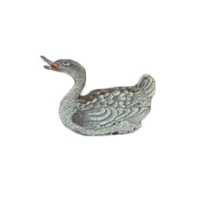 white duck