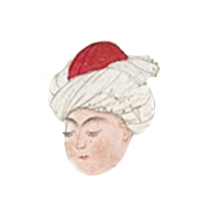 a boy's head