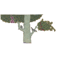 tree with birds
