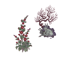 flower bushes and two rabbits