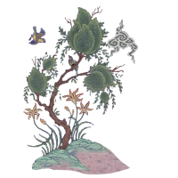 trees sparrows rocks and flowers