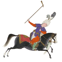 prince play polo