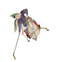 polo player