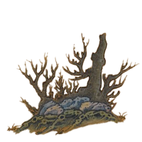 Bushes