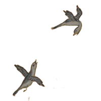 Two Little Birds