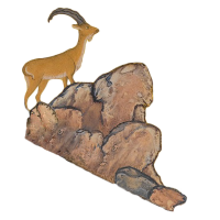 Goat on rock