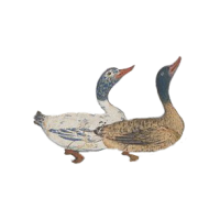 two ducks