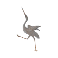 grey bird with long legs