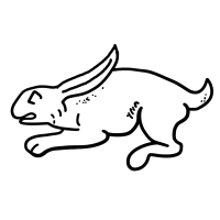 Rabbit