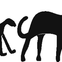 Horse and Foal