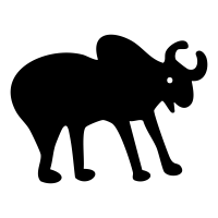 Zebu Cow