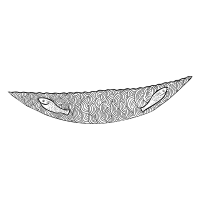 Sassanian Sea