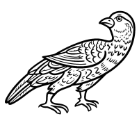 Sassanian bird