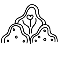 sassanian pattern design