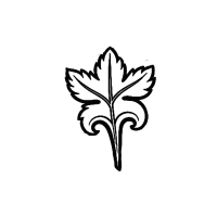 sassanian leaf